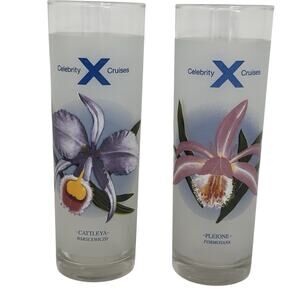 2 Celebrity Cruises Tall Collins Glasses Bon Voyage With Drink Recipes